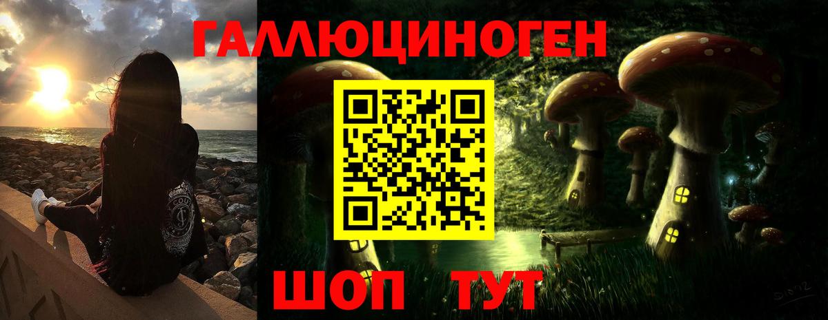 Медногорск  Псилоцибиновые грибы Psilocybe  Вход с VPN 